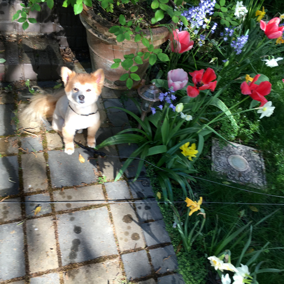 Meet your Posher, H! - Picture 1 of 1